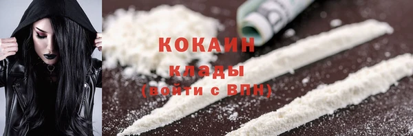 соль ск Алексин