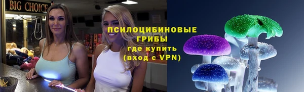 соль ск Алексин