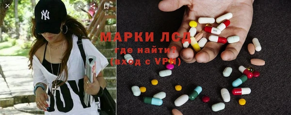 apvp Алзамай