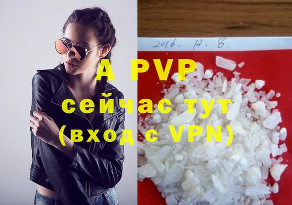 apvp Алзамай