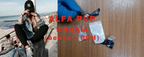 apvp Алзамай