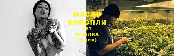 соль ск Алексин