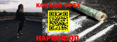 jwh Кингисепп