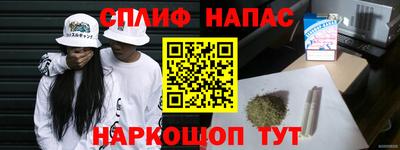 jwh Кингисепп