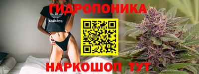 jwh Кингисепп