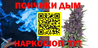 jwh Кингисепп