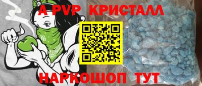 jwh Кингисепп