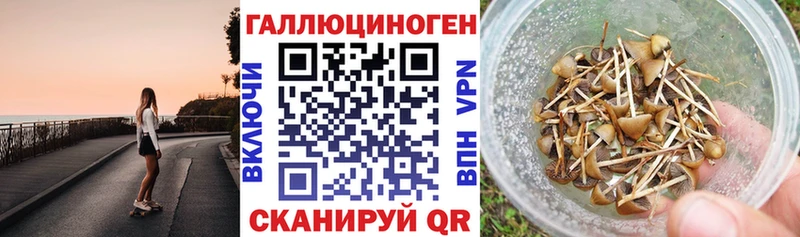 Псилоцибиновые грибы Magic Shrooms  Кохма 