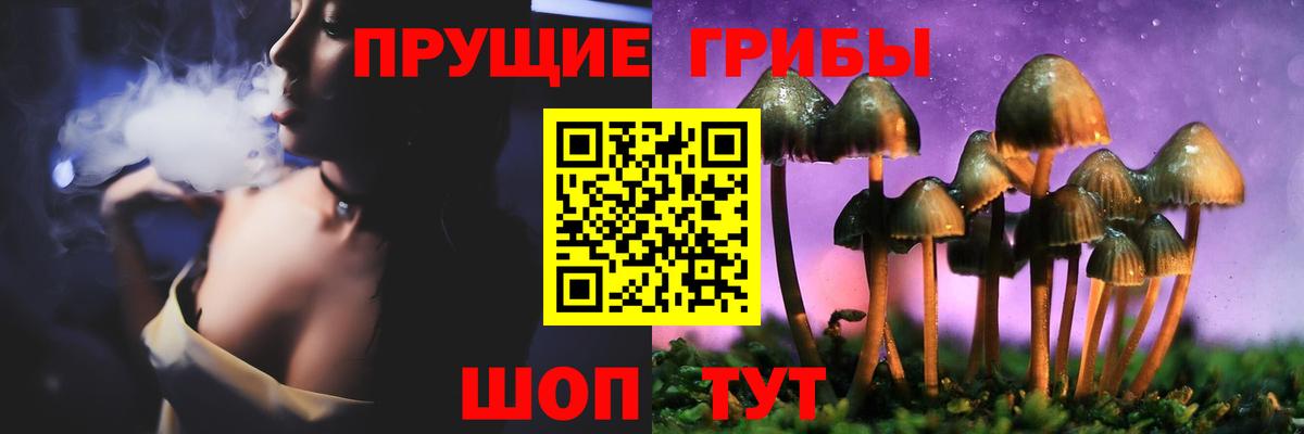 Псилоцибиновые грибы Psilocybine cubensis  Вход с VPN  Кохма 